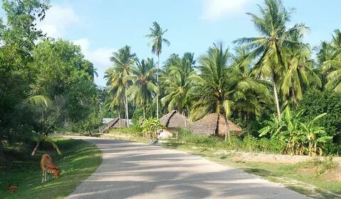 Pemba Kuzey