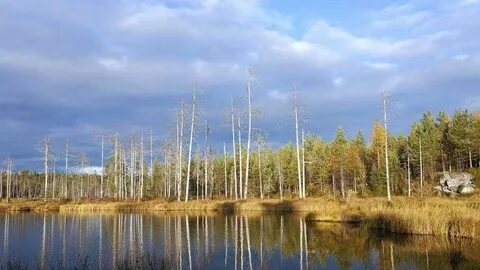 Kainuu
