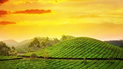Kerala