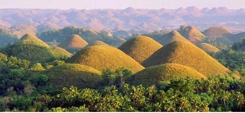 Bohol