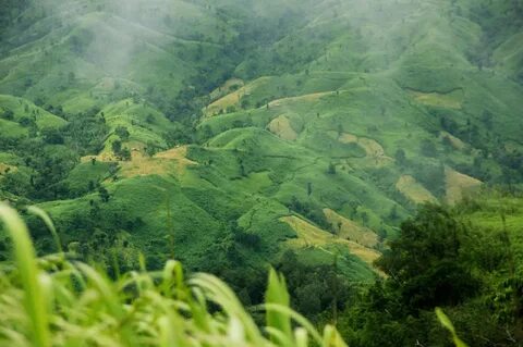 Bandarban Bölgesi