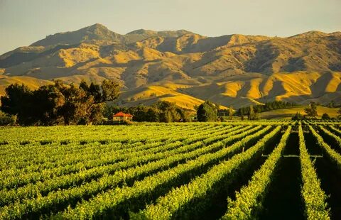 Marlborough Bölgesi