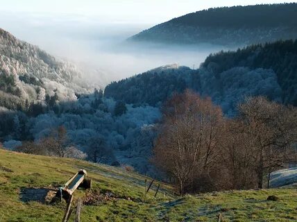 Vosges