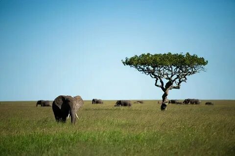 Arusha
