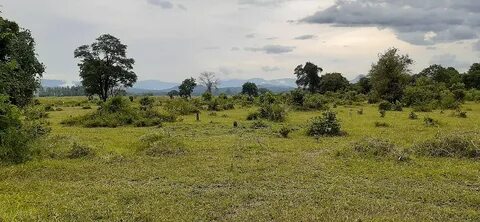 Morogoro