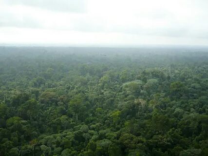 Ogooué-Ivindo Eyaleti