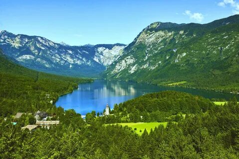 Bohinj Belediyesi