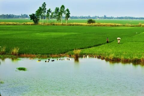 Sirajganj Bölgesi