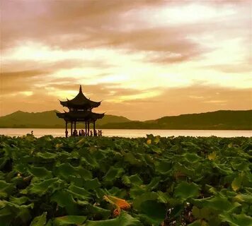 Zhejiang