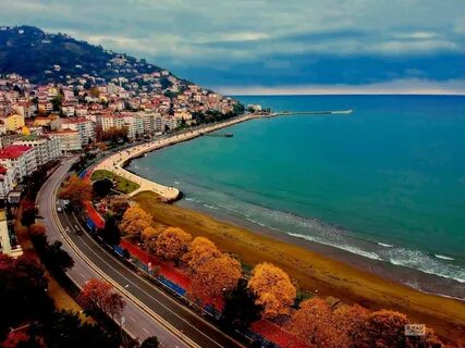 Ordu