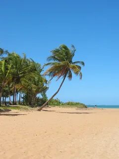 Luquillo