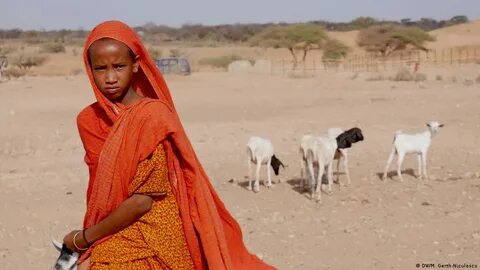 Somali Bölgesi