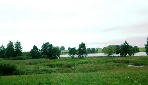 Marijampolė Belediyesi