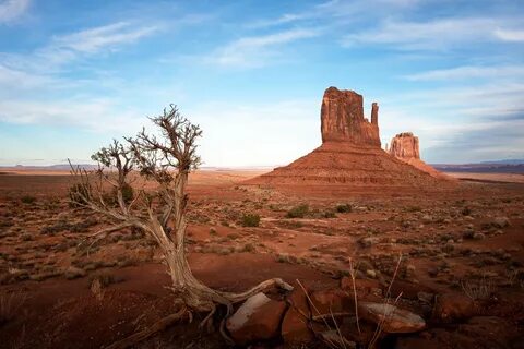 Arizona