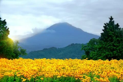 Tottori İli