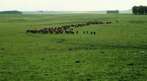 La Pampa