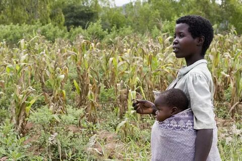 Mwanza Bölgesi