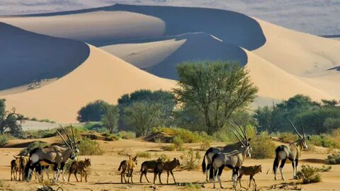 Oshana Region