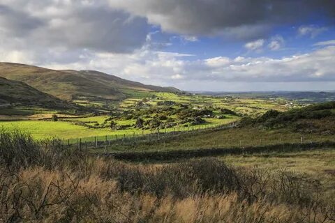 Louth