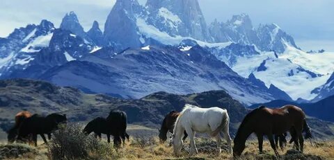 La Pampa