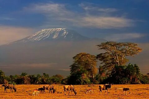 Kirinyaga