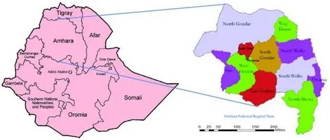 Amhara Bölgesi