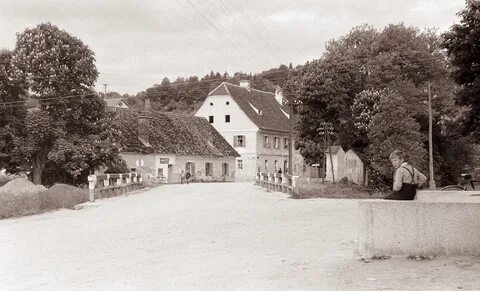 Kungota