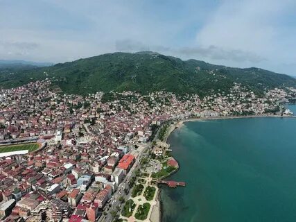 Ordu