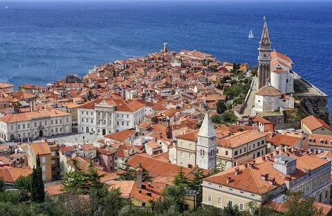 Piran Belediyesi