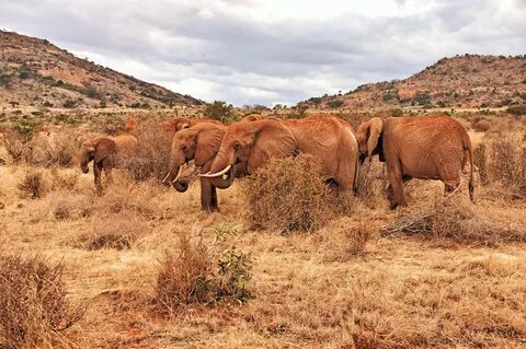 Taita – Taveta