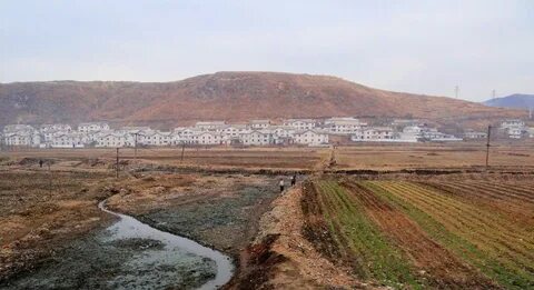 Güney Pyongan Eyaleti
