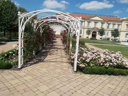 Jász-Nagykun-Szolnok İlçesi