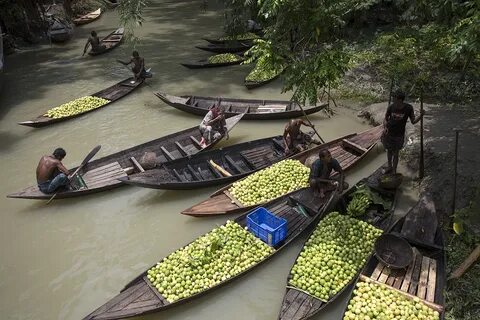 Pirojpur Bölgesi