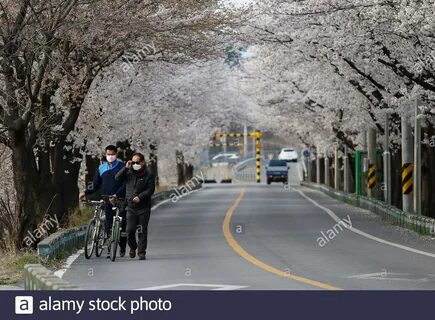 Güney Gyeongsang Eyaleti
