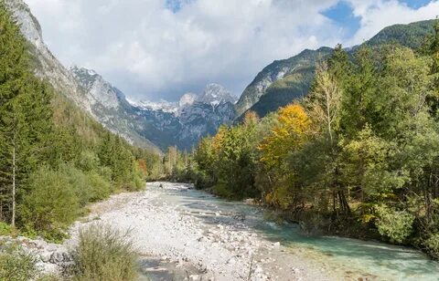 Bovec Belediyesi
