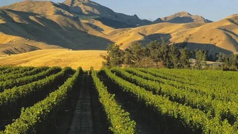 Marlborough Bölgesi
