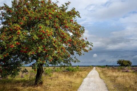 Drenthe