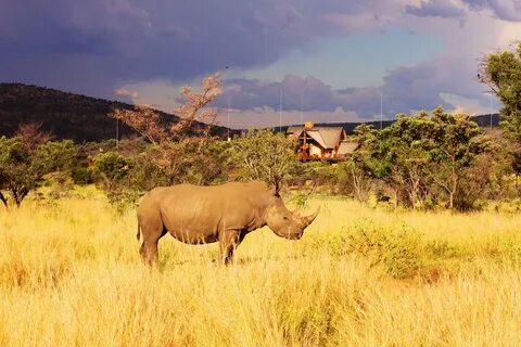 Limpopo