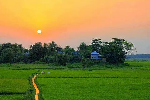 Bhola Bölgesi