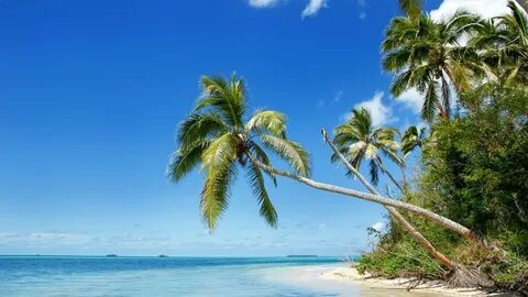 Tongatapu
