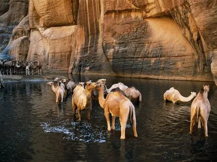Ennedi-Ouest
