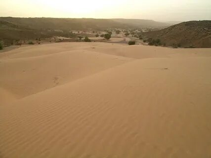 Hodh Ech Chargui