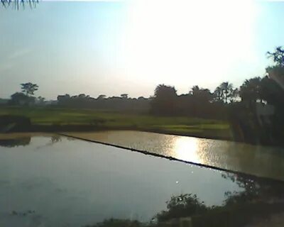 Gopalganj Bölgesi