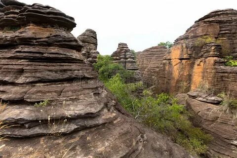 Cascades Bölgesi