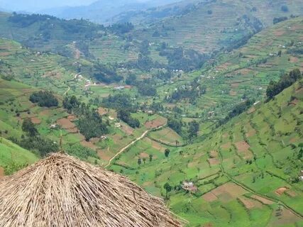 Rukungiri Bölgesi