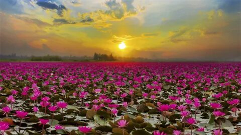 Udon Thani