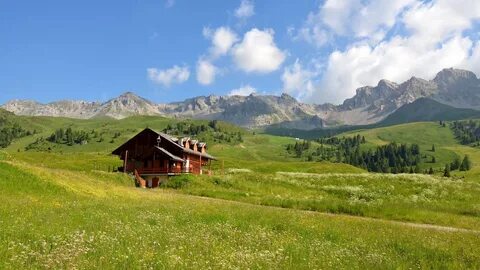 Montana Eyaleti