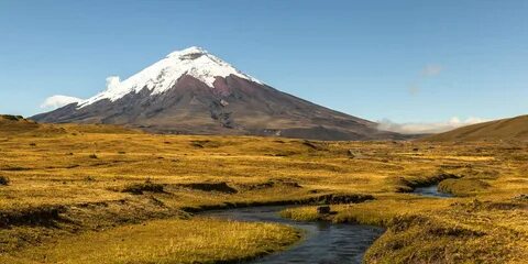 Sucumbio'lar