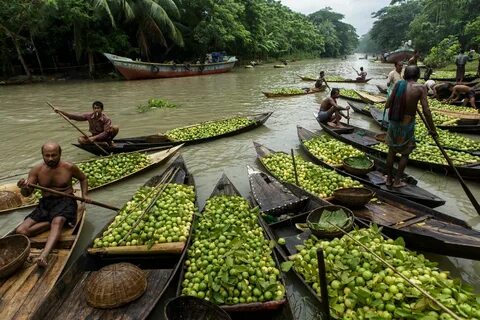 Barisal Bölgesi