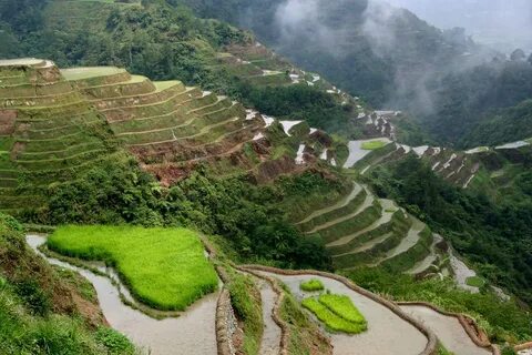 Cordillera İdari